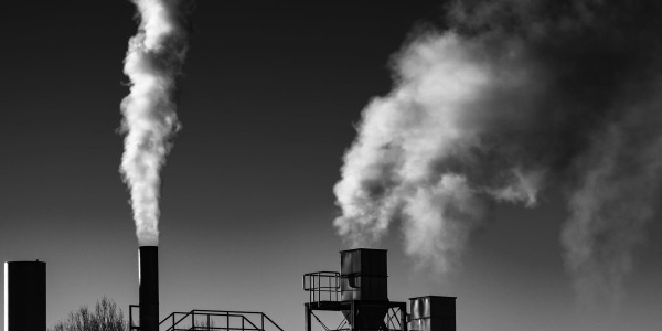 Delitos Societarios en Guadalajara · Delitos Contra el Medioambiente / Contaminación